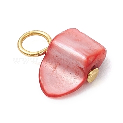 Dyed Natural Sea Shell Nuggets Charms&nbsp;PALLOY-JF04307-02