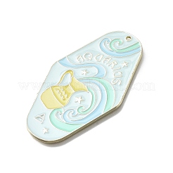 Twelve Constellations Alloy Enamel Big Pendants&nbsp;ENAM-D305-06H-G