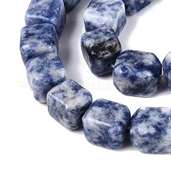 Natural Blue Spot Jasper Beads Strands&nbsp;G-Q608-10G