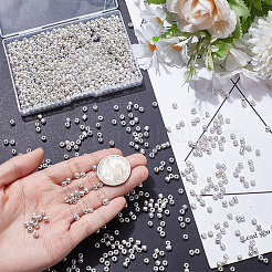 100G Glass Seed Beads&nbsp;SEED-SP0001-12B-02