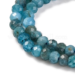 Natural Apatite Beads Strands&nbsp;G-F770-D09-02B