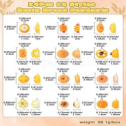 24Pcs 12 Styles Resin Pendants&nbsp;RESI-CJ0003-99