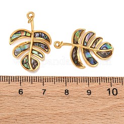 304 Stainless Steel Pave Natural Shell Pendants&nbsp;STAS-U061-18G-02