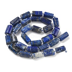 Natural Lapis Lazuli Beads Strands&nbsp;G-K365-I01-01