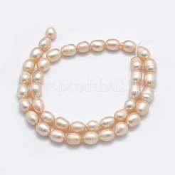 Natural Cultured Freshwater Pearl Beads Strands&nbsp;PEAR-F007-85A-01A