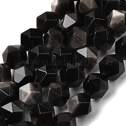 Natural Silver Obsidian Beads Strands&nbsp;G-Z119-A11-03