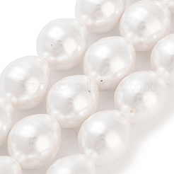 Electroplated Shell Pearl Beads Strands&nbsp;BSHE-H110-01-03