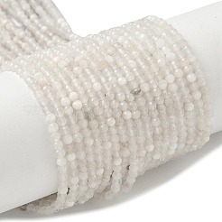 Natural Moonstone Beads Strands&nbsp;G-C201-B06-3mm