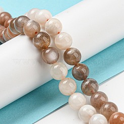 Natural Multi-Moonstone Beads Strands&nbsp;G-P503-8MM-04