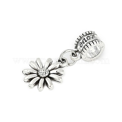 Rack Plating Brass European Dangle Charms&nbsp;KK-R200-01AS-02