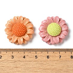 Opaque Resin Decoden Cabochons&nbsp;RESI-M041-12