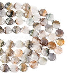 Natural Agate Beads Strands&nbsp;G-L654-C02-02