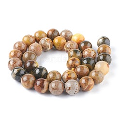 Natural Bumblebee Jasper Beads Strands&nbsp;X-G-F691-01-10mm