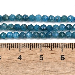 Natural Apatite Beads Strands&nbsp;X-G-E411-36-3mm-01