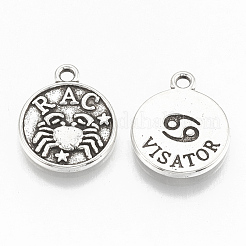 Tibetan Style Alloy Charms&nbsp;LS-TIBE-Q084-06AS-LF