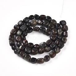 Natural Biotite Beads Strands&nbsp;G-N346-04A-02