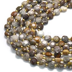 Natural Gobi Agate Beads Strands&nbsp;G-C116-A21-02