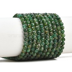 Natural Fuchsite Beads Strands&nbsp;G-RM250101-C33