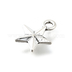 Tibetan Style Alloy Pendants&nbsp;LS-PALLOY-R157-01AS-02