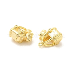 Brass Charms&nbsp;KK-Z073-03G