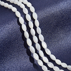2 Strands Natural Shell Beads Strands&nbsp;DIY-NB0012-09