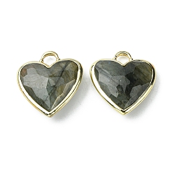 Natural Labradorite Pendants&nbsp;G-O204-01D