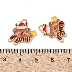 Alloy Enamel Pendants&nbsp;ENAM-I061-01KCG-22