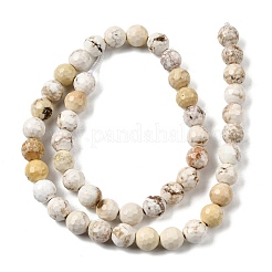 Natural Magnesite Beads Strands&nbsp;G-P598-E-8mm-03