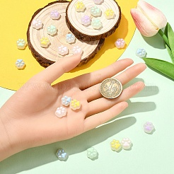 25Pcs 5 Colors Translucent Resin Cabochons&nbsp;RESI-YW0004-90