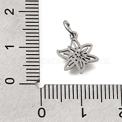 304 Stainless Steel Charms&nbsp;SA-CBA4CE0-01P-K