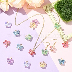 30Pcs Acrylic Pendants&nbsp;PALLOY-YW00120