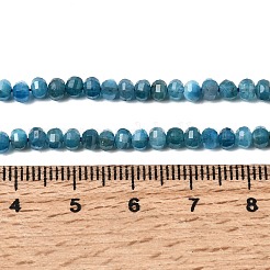 Natural Apatite Beads Strands&nbsp;G-K376-I09-3x4mm