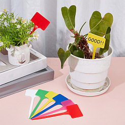120Pcs 6 Colors Rectangle Plastic Plant Labels&nbsp;DIY-BC0015-61