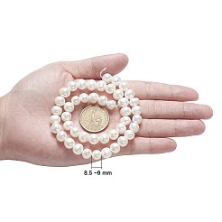 Natural Cultured Freshwater Pearl Beads Strands&nbsp;PEAR-F007-19