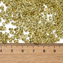 Spray Painted Glass Seed Beads&nbsp;SEED-F005-02A-03