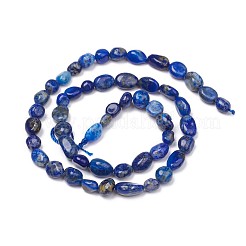 Natural Lapis Lazuli Beads Strands&nbsp;G-L493-40