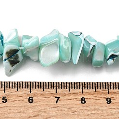 Natural Trochid Shell/Trochus Shell Beads Strands&nbsp;SHEL-B003-02K