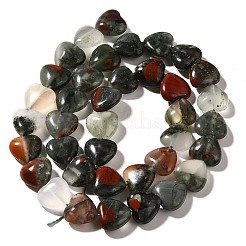 Natural African Bloodstone Beads Strands&nbsp;G-R190-10mm-56