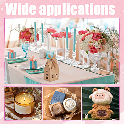 40Pcs 2 Colors House Shaped Kraft Paper Boxes with Ribbon and Window&nbsp;ABAG-PH0001-55