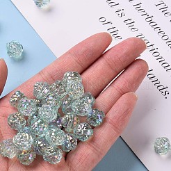 Transparent Acrylic Beads&nbsp;X-TACR-S154-33C-754