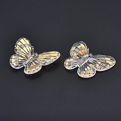 Transparent Acrylic Pendants&nbsp;TACR-N014-009-B01