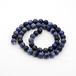 Sodalite Round Bead Strands&nbsp;G-P070-46-10mm