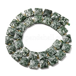 Natural Green Spot Jasper Beads Strands&nbsp;G-F839-A23-01
