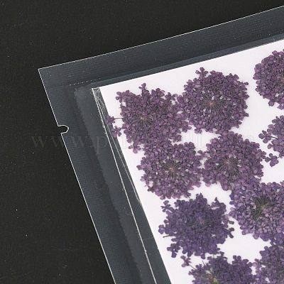 Pressed Dried Flowers&nbsp;DIY-K032-58D-1