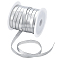 20M Flat Imitation Leather Cord, for Sewing Accessories, Silver, 10x0.7mm, about 21.87 Yards(20m)/Set