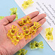 Transparent Acrylic Beads&nbsp;MACR-S373-01B-916-6