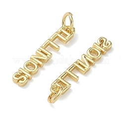 Brass Pendants&nbsp;KK-H256-02G-02