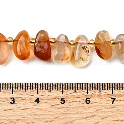 Natural Carnelian Beads Strands&nbsp;G-Z091-A08