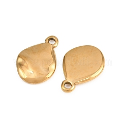 304 Stainless Steel Pendants&nbsp;STAS-L317-19G