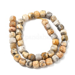 Natural Crazy Agate Beads Strands&nbsp;G-C267-A13